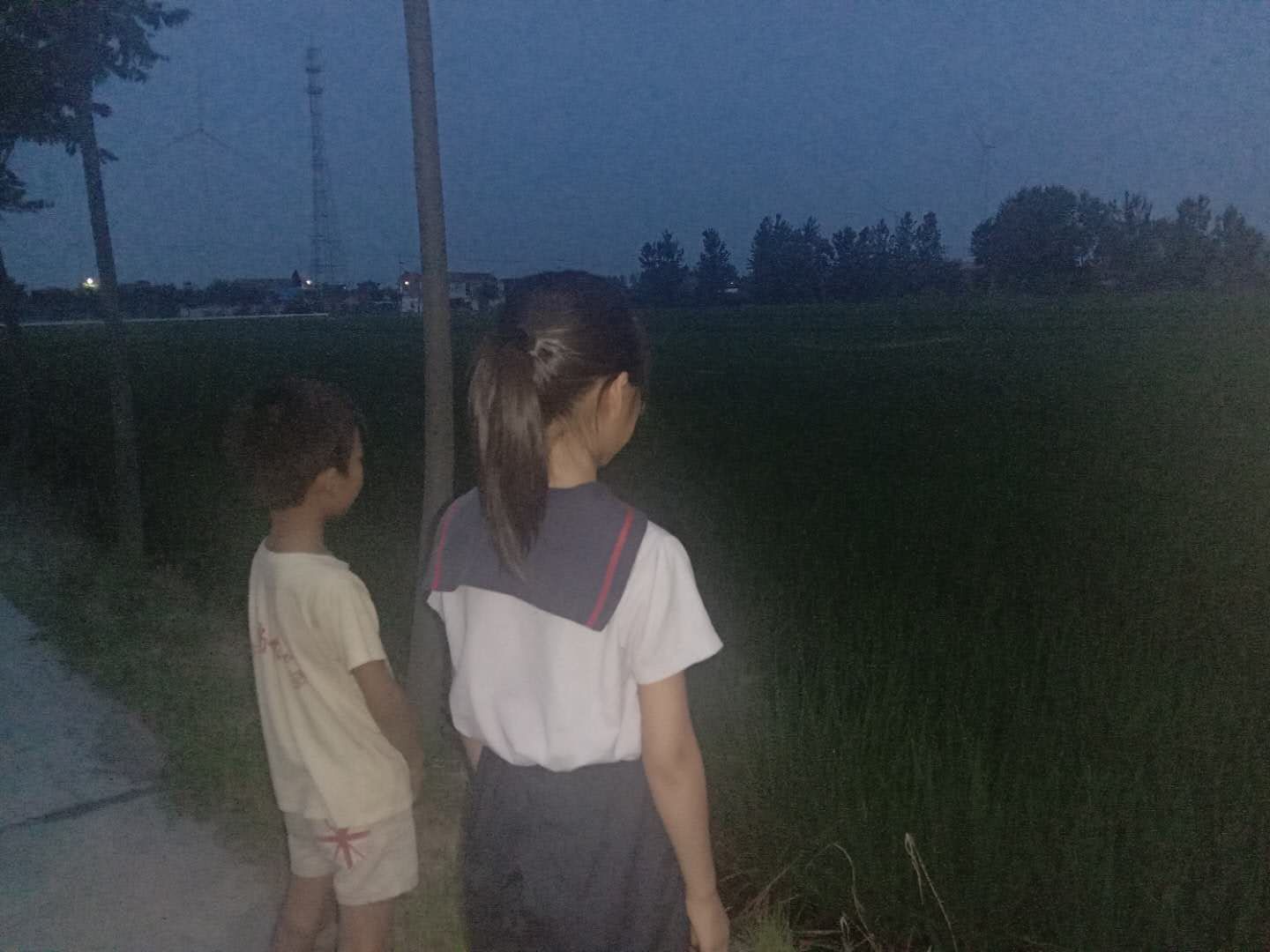 调研报告(付彤)