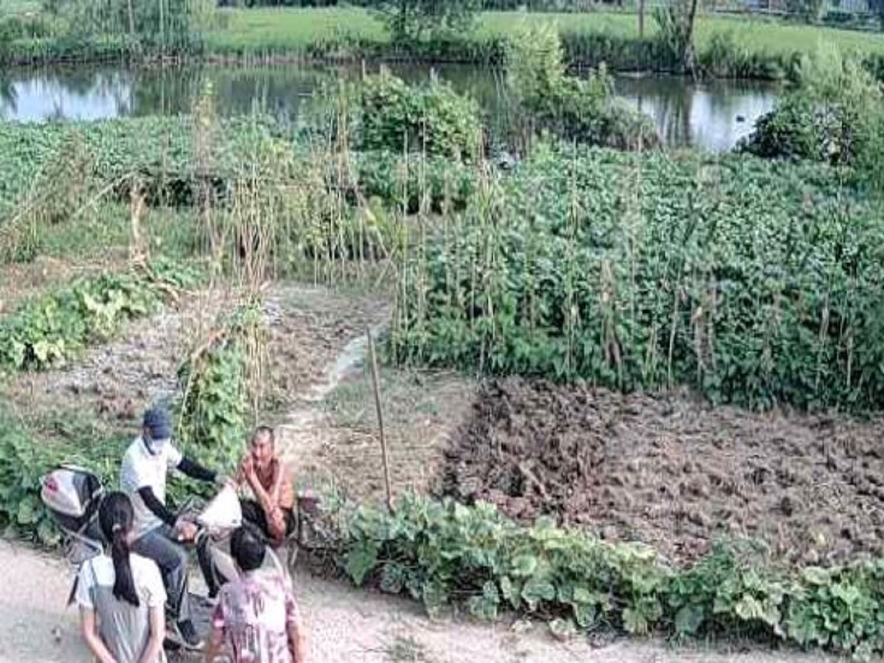 调研报告(付彤)