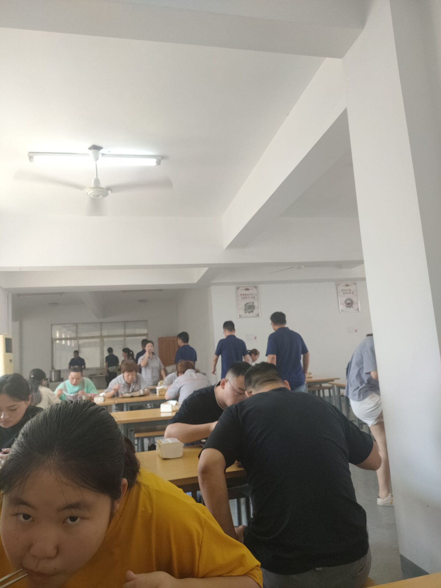 调研报告(刘青)