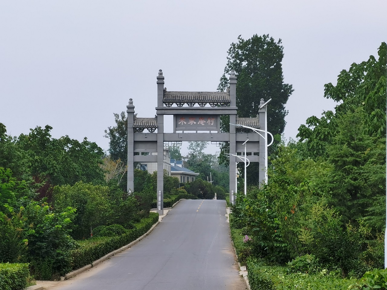 调研报告(王翊霏)