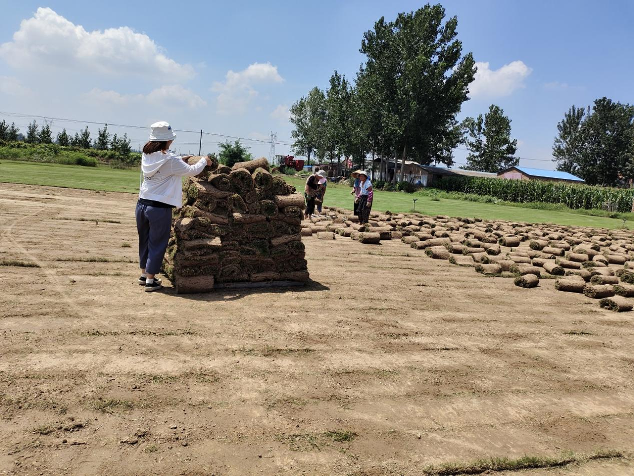 调研报告(赵慧颖)