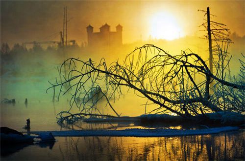 关于四十岁女人的文案