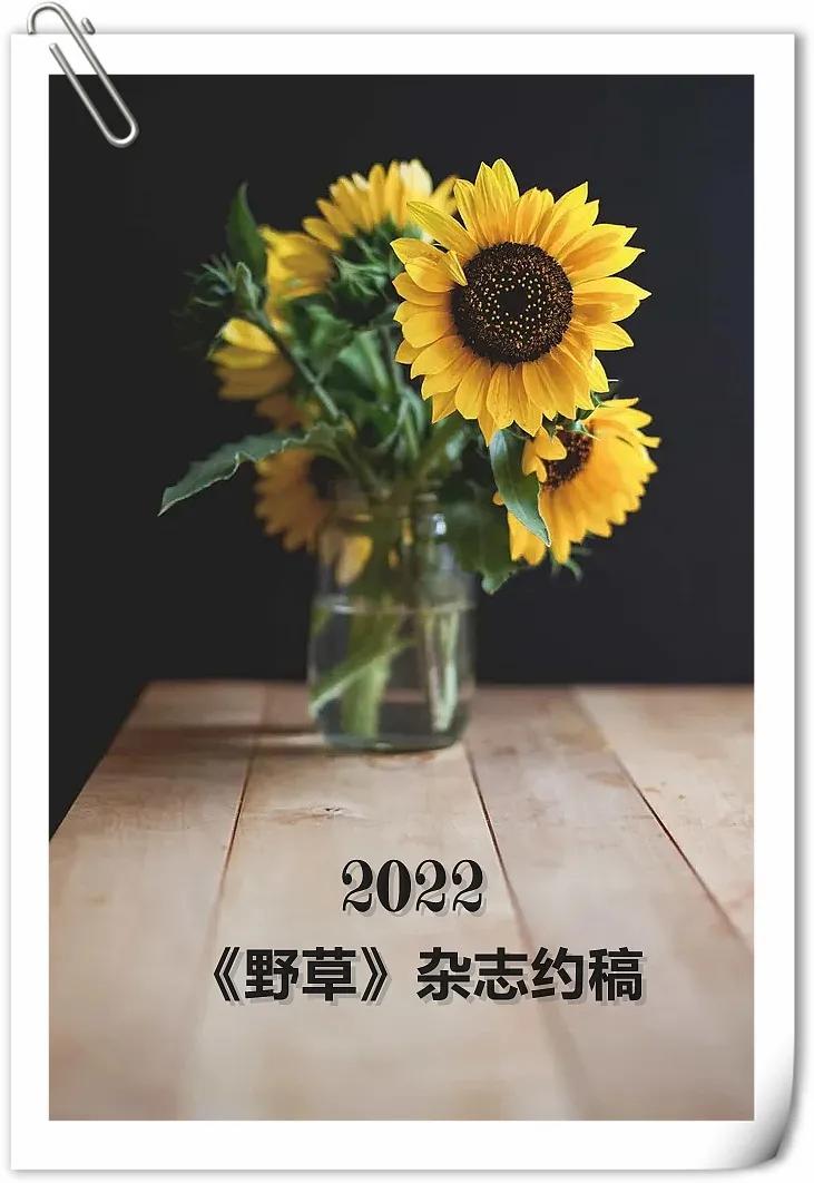 《野草》杂志2022约稿函 90%以上为自然来稿