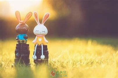 关于爱情,这三十句话,往往是最真实的!