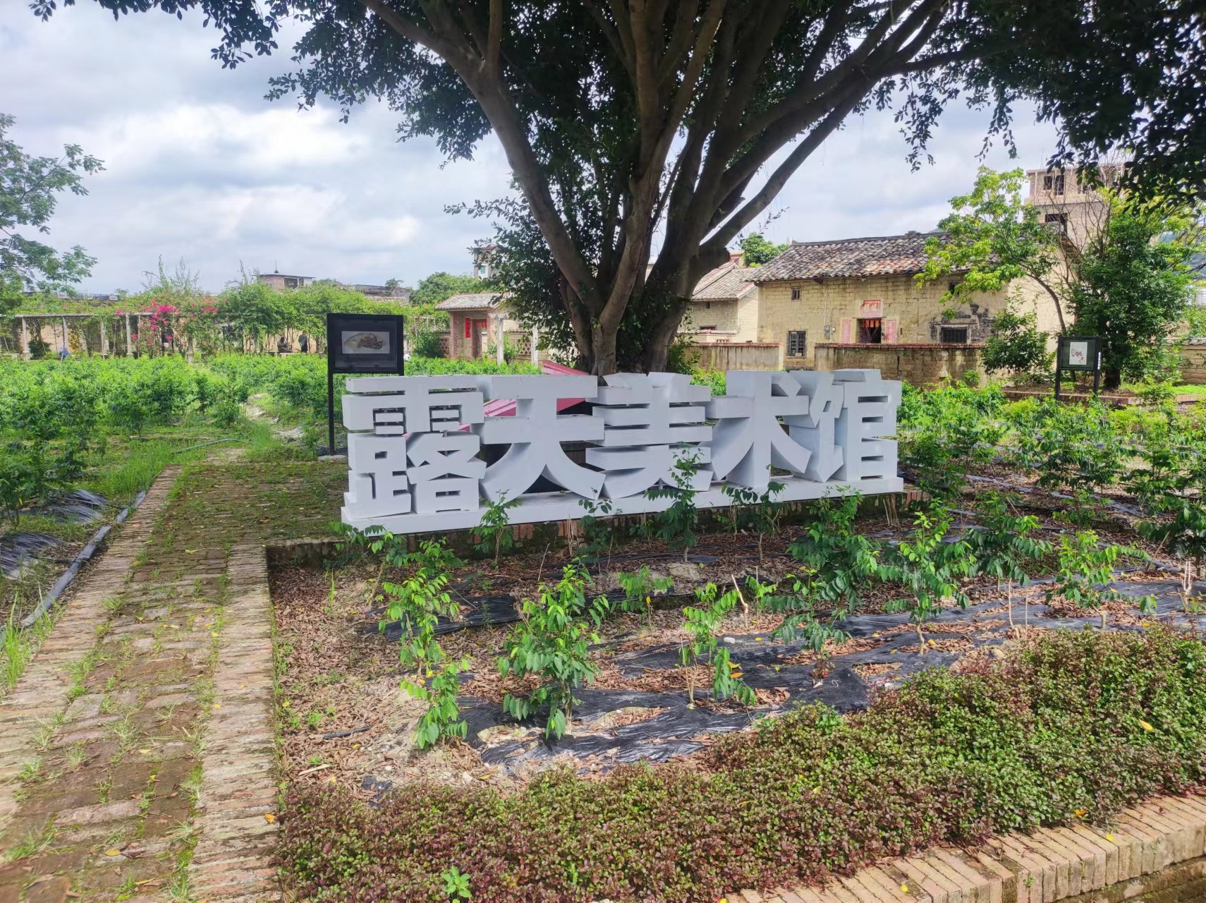 青春在此,笃行不怠